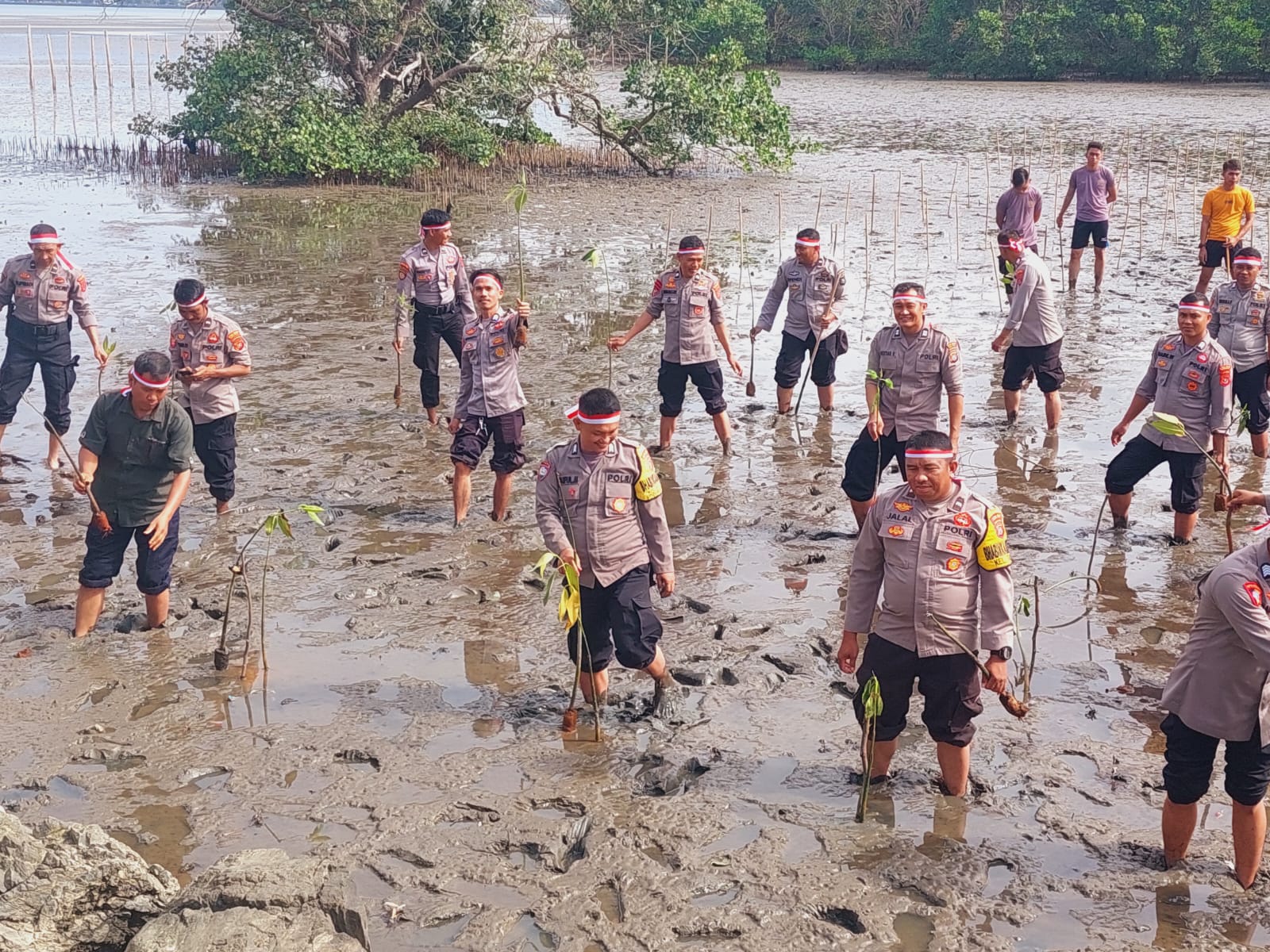 WhatsApp Image 2023-08-24 at 09.49.17.jpeg