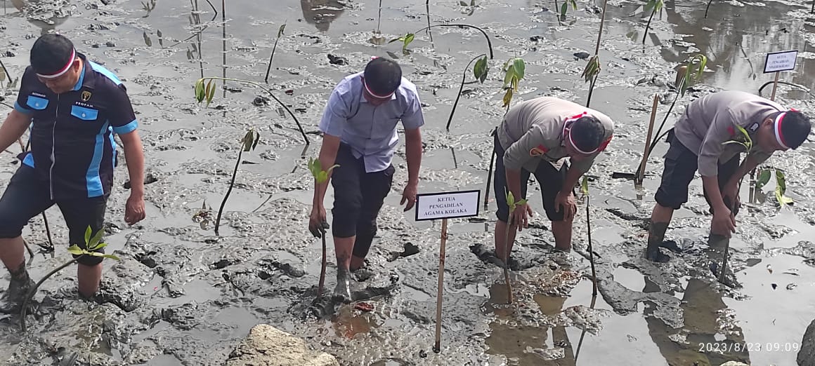 WhatsApp Image 2023-08-24 at 09.49.18.jpeg