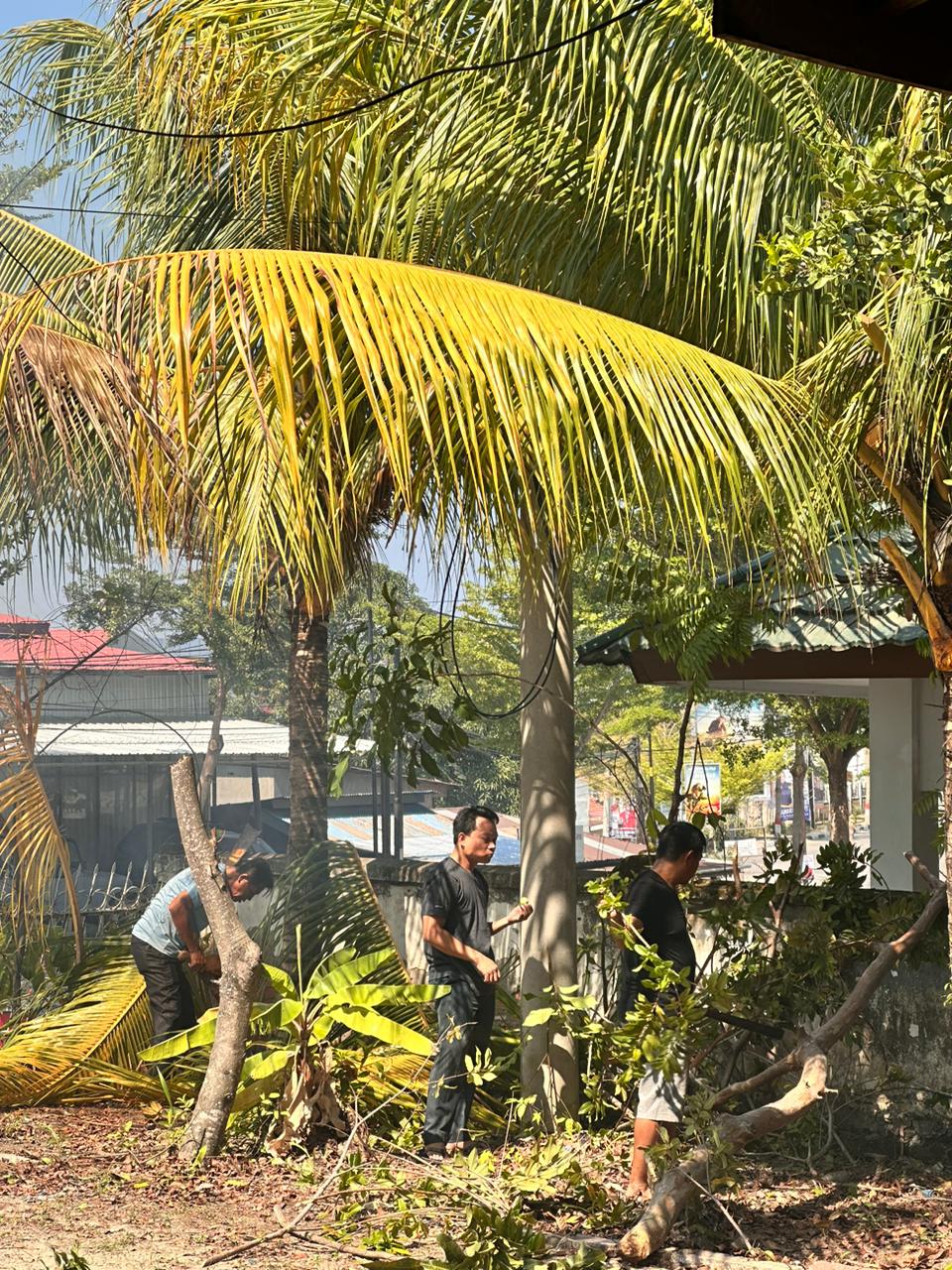 WhatsApp Image 2023-10-31 at 09.22.39.jpeg